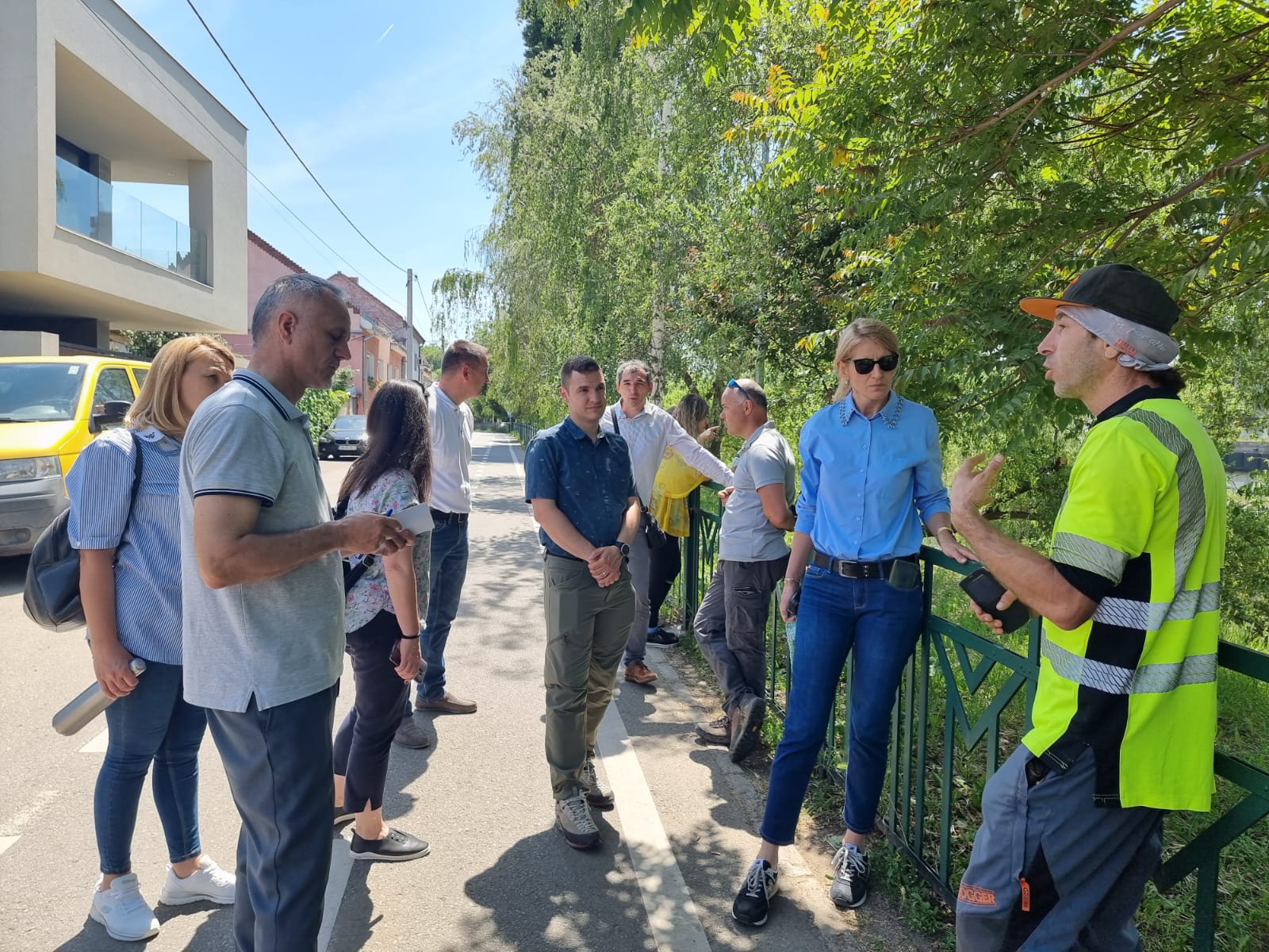 Toaletare ca la carte: specialiștii Direcției Tehnice, instruiți de arboriști certificați ISA