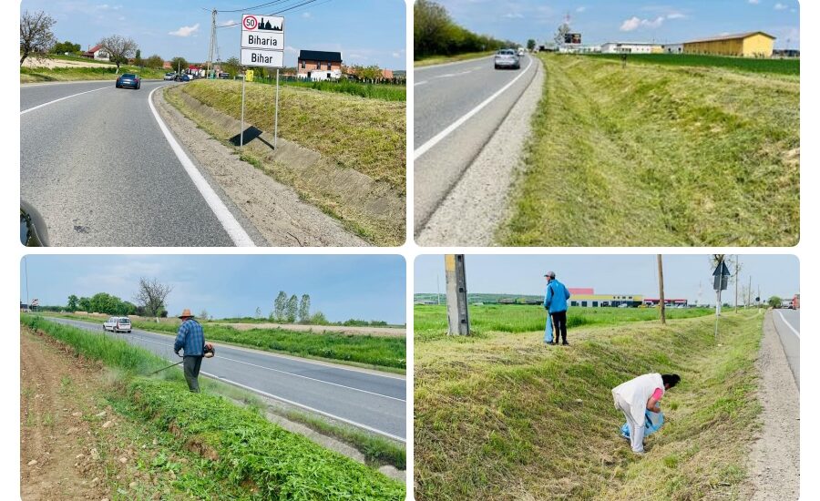FOTO | Ilie Bolojan: Curățenia județului nostru este o prioritate