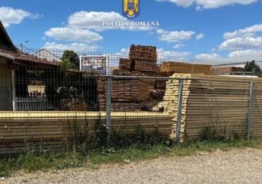 Peste 127 de metri cubi de material lemnos fără proveniență legală, în valoare de 69.272,8  lei, confiscați faptic sau valoric de polițiștii bihoreni, în cadrul unei acțiuni comune.