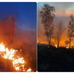 Peste 1400 hectare de terenuri virane, agricole È™i fond forestier  afectate de incendiile de vegetaÈ›ie uscatÄƒ Ã®n Bihor