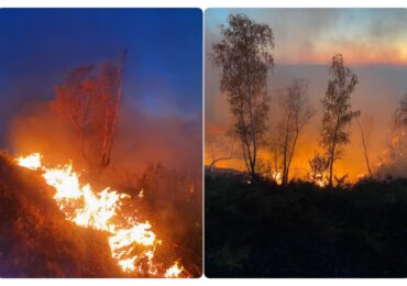Peste 1400 hectare de terenuri virane, agricole È™i fond forestier  afectate de incendiile de vegetaÈ›ie uscatÄƒ Ã®n Bihor