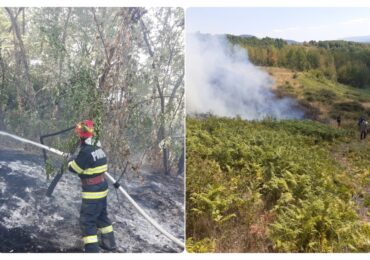 Dezastrul ecologic din zona Vaii Aleului a ajuns la 200 de hectare de vegetatie care a ars in doar 3 zile