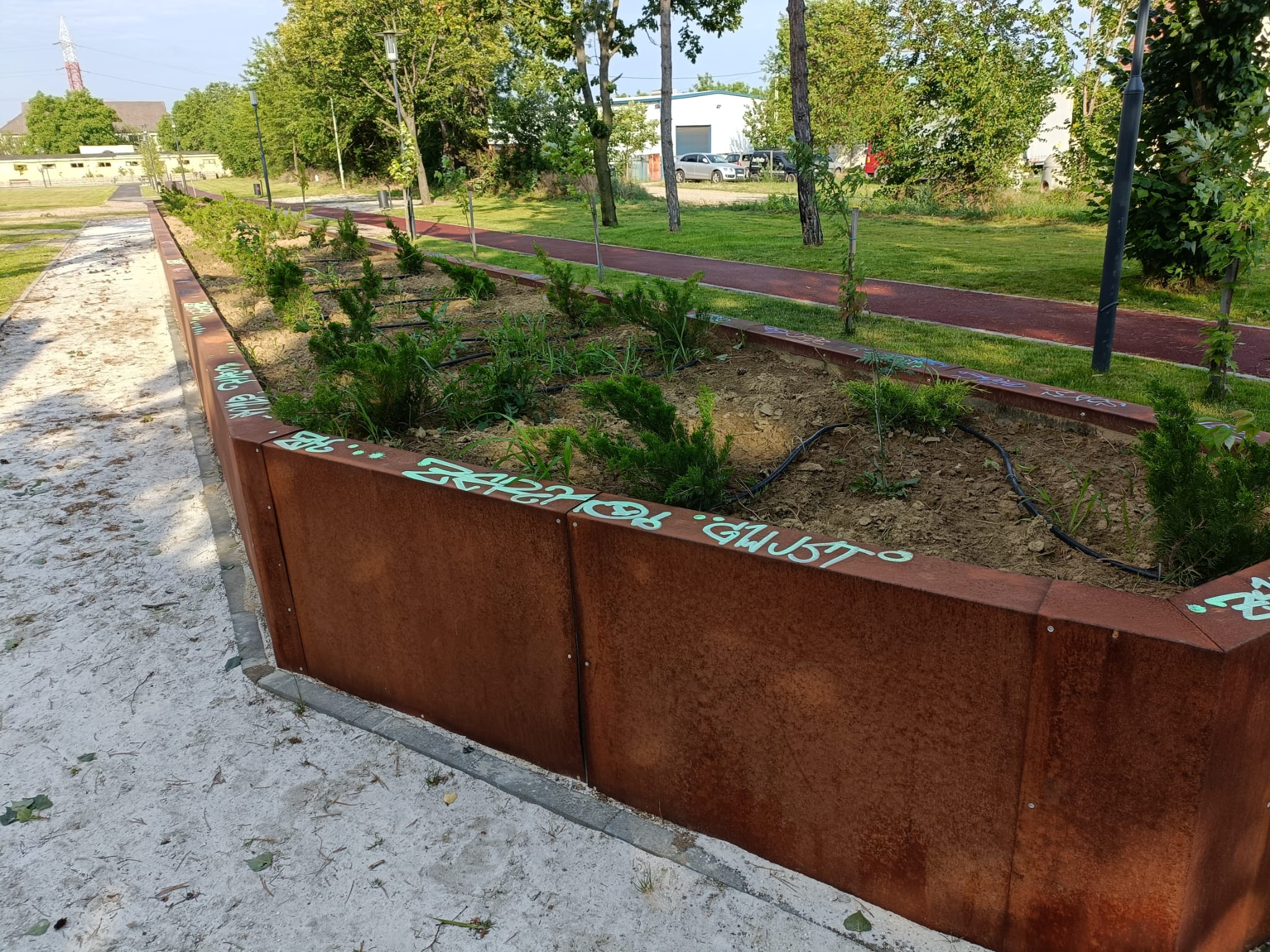 Doi minori au fost suprinsi inscriptionand cu graffiti mobilierul urban din oras. Parintii lor au platit amenzi de 500 lei fiecare