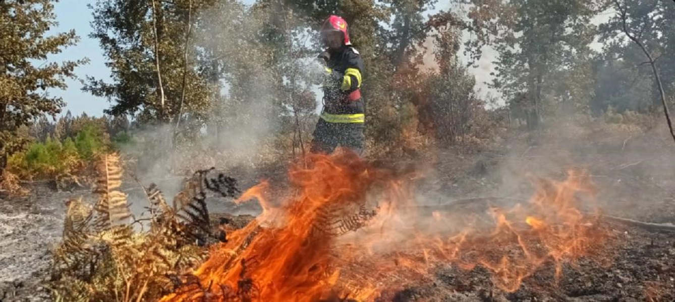 Pompierii romani, printre care si cativa bihoreni, lupta cu focul in Franta