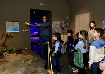 Foto | Aproape 400 de copii si cadre didactice au participat la atelierul de educatie muzeala Curiozitati despre fluturi de la Muzeul Tarii Crisurilor