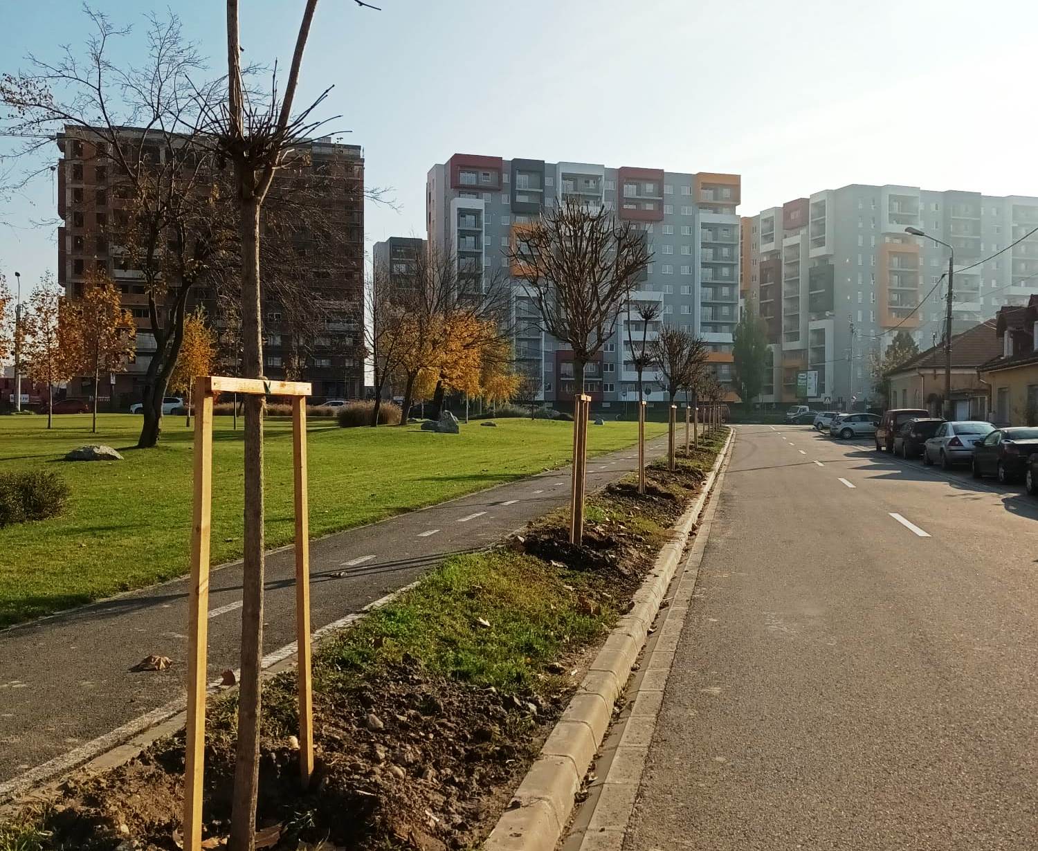 Primaria a plantat in campania de toamna cca 400 de arbori. Pana in 15 decembrie va mai planta aproape 300