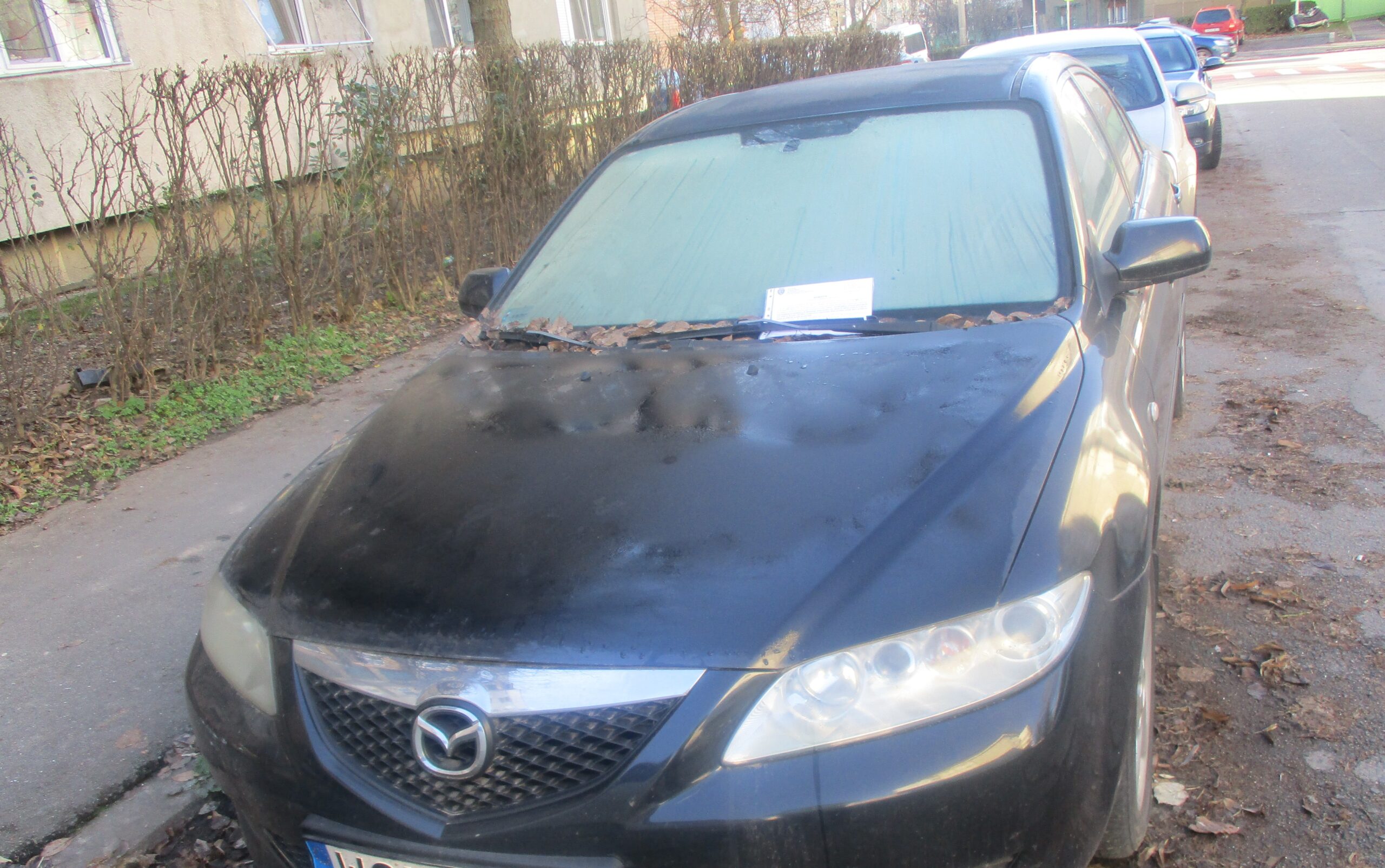 Alte autovehicule fara stapan gasite in Oradea. Daca proprietarii nu le vor muta Politia Locala Oradea le va ridica