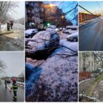 Mai multi copaci s-au prabusit peste masini si case in Oradea si alte localitati din judetul Bihor, din cauza vantului si a starii degradate a copacilor