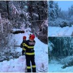 Foto | Vantul din aceasta noapte a doborat mai multi copaci in localitatile Budureasa, Pestis si Izbuc din judetul Bihor