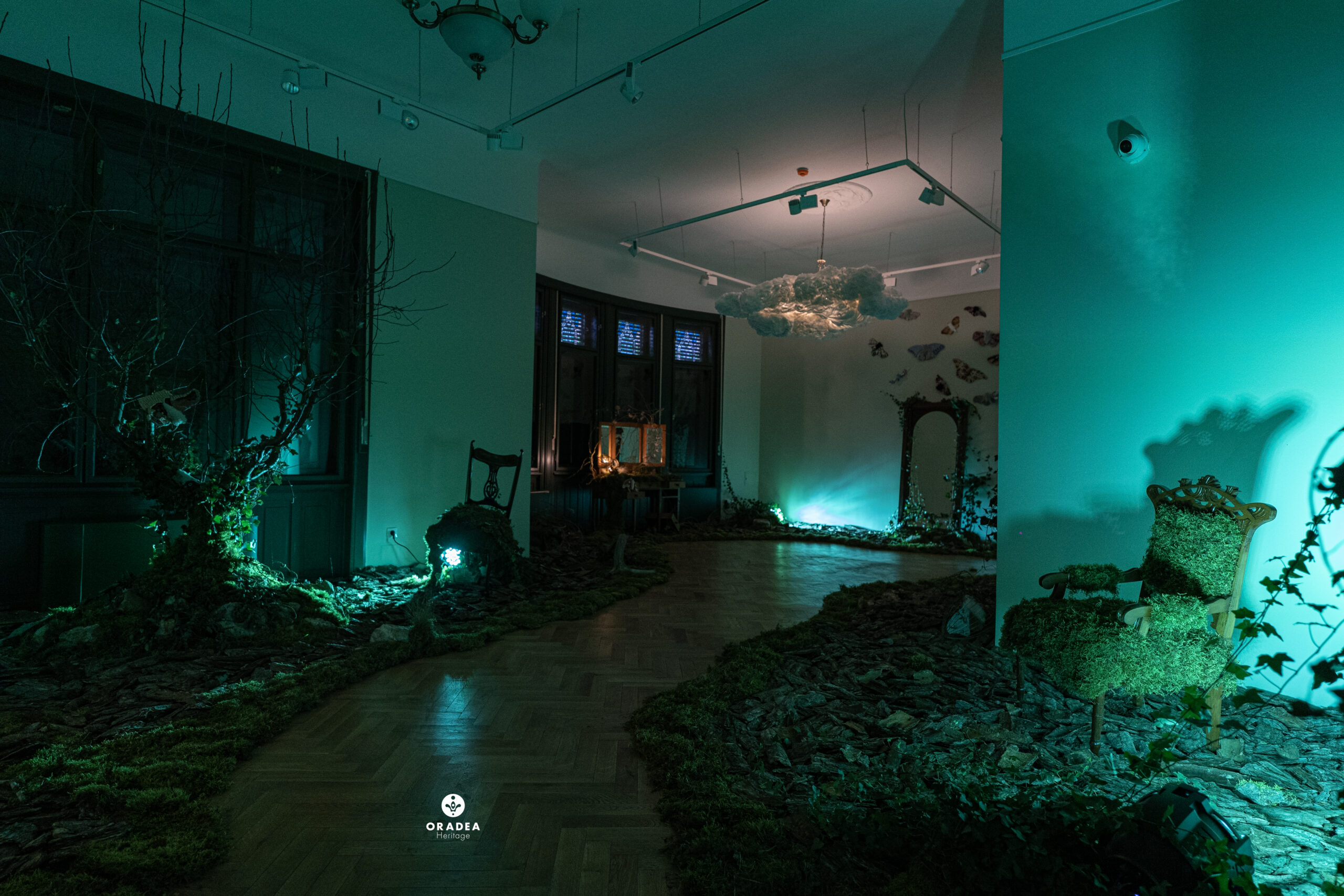 Portal spre Primăvară – Casa Darvas-La Roche