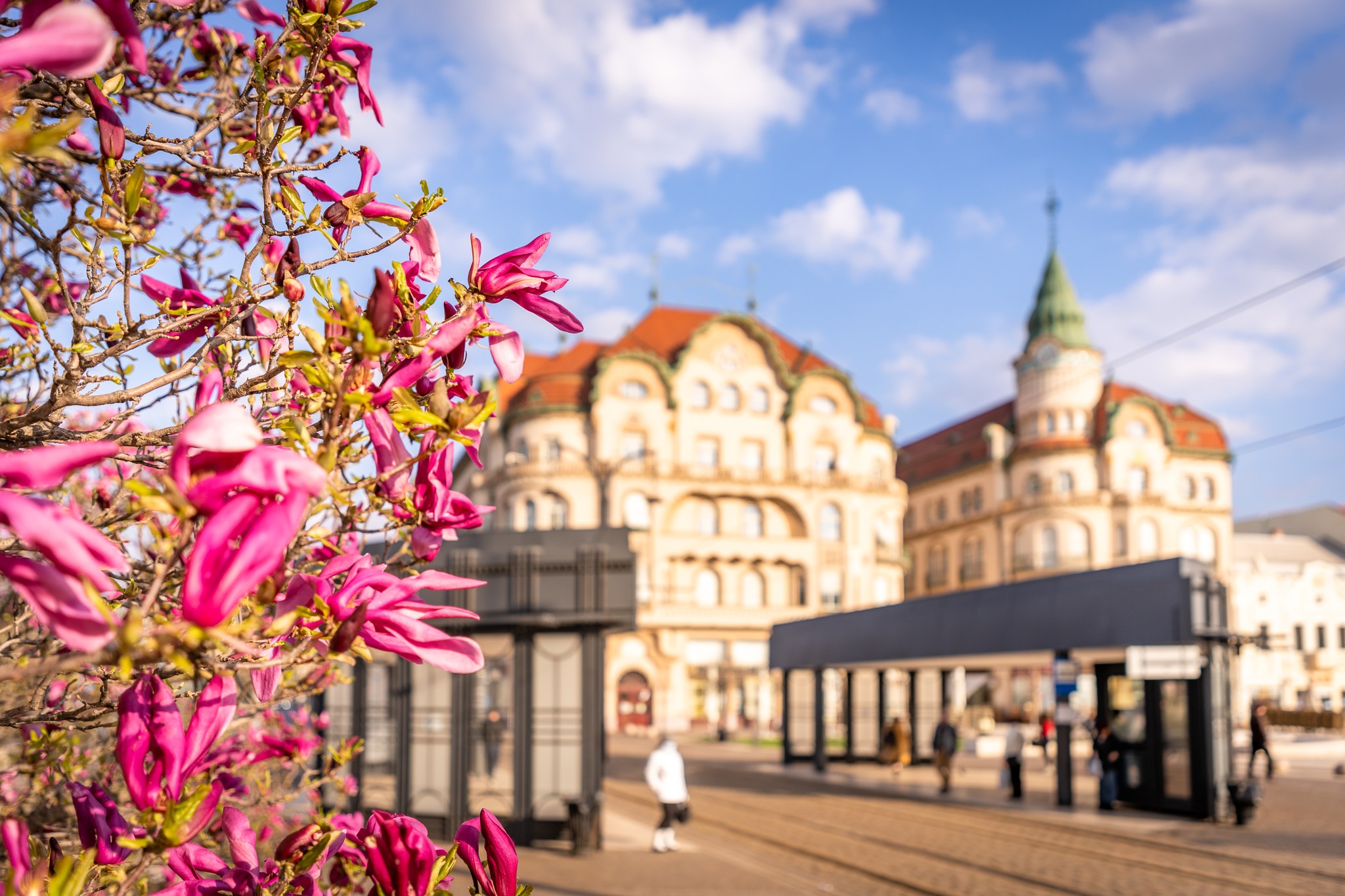 Oradea este destinația turistică ideală din România în 2023