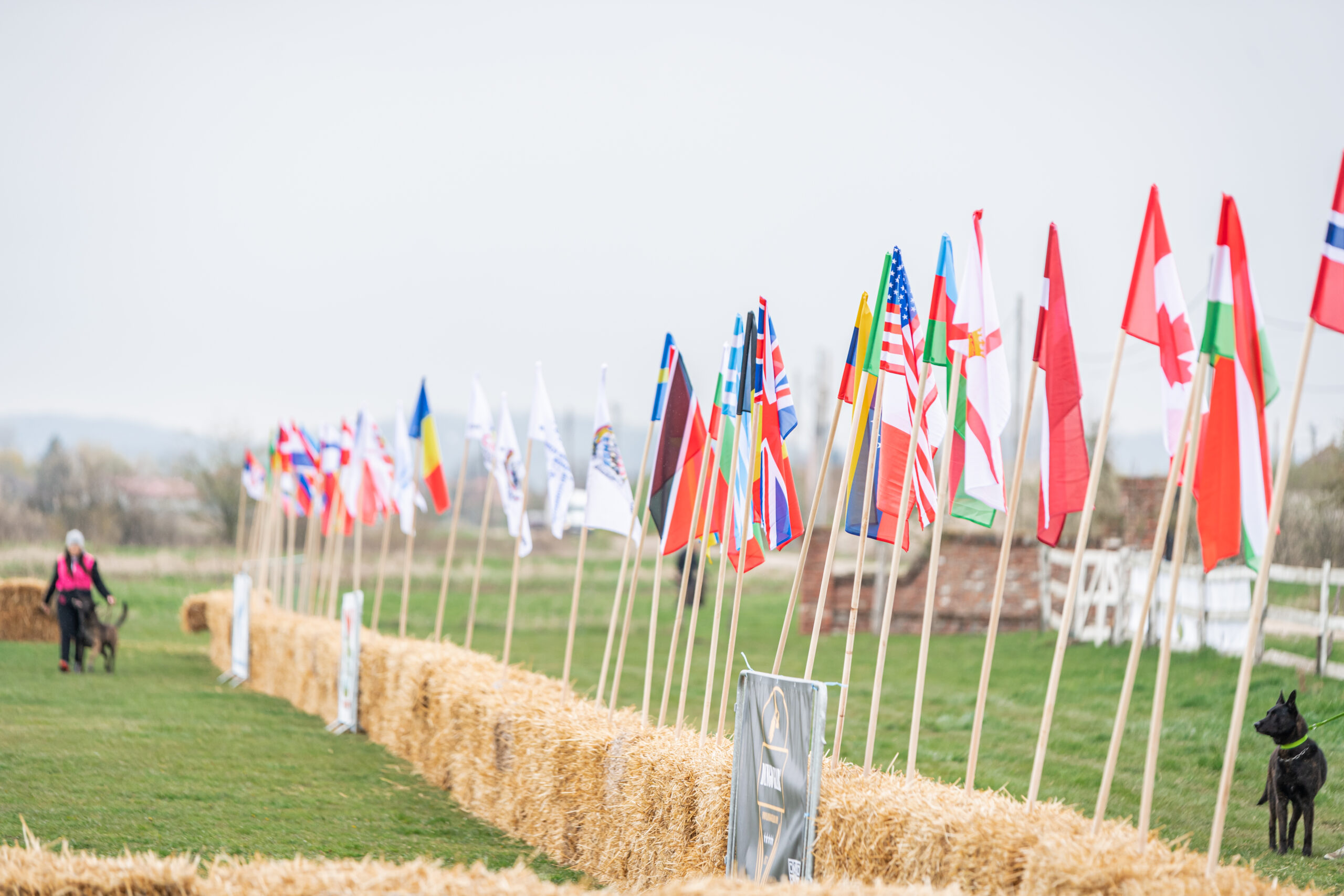 Campionatul Mondial Canin 2023, în premieră în România, se va desfasura in judetul Bihor
