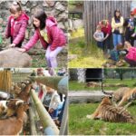 Foto | Sambata, 29 aprilie, a fost Ziua Parintilor Adoptivi la Gradina Zoologica Oradea