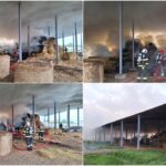 Incendiu violent la o fermă din localitatea bihoreană Boiu