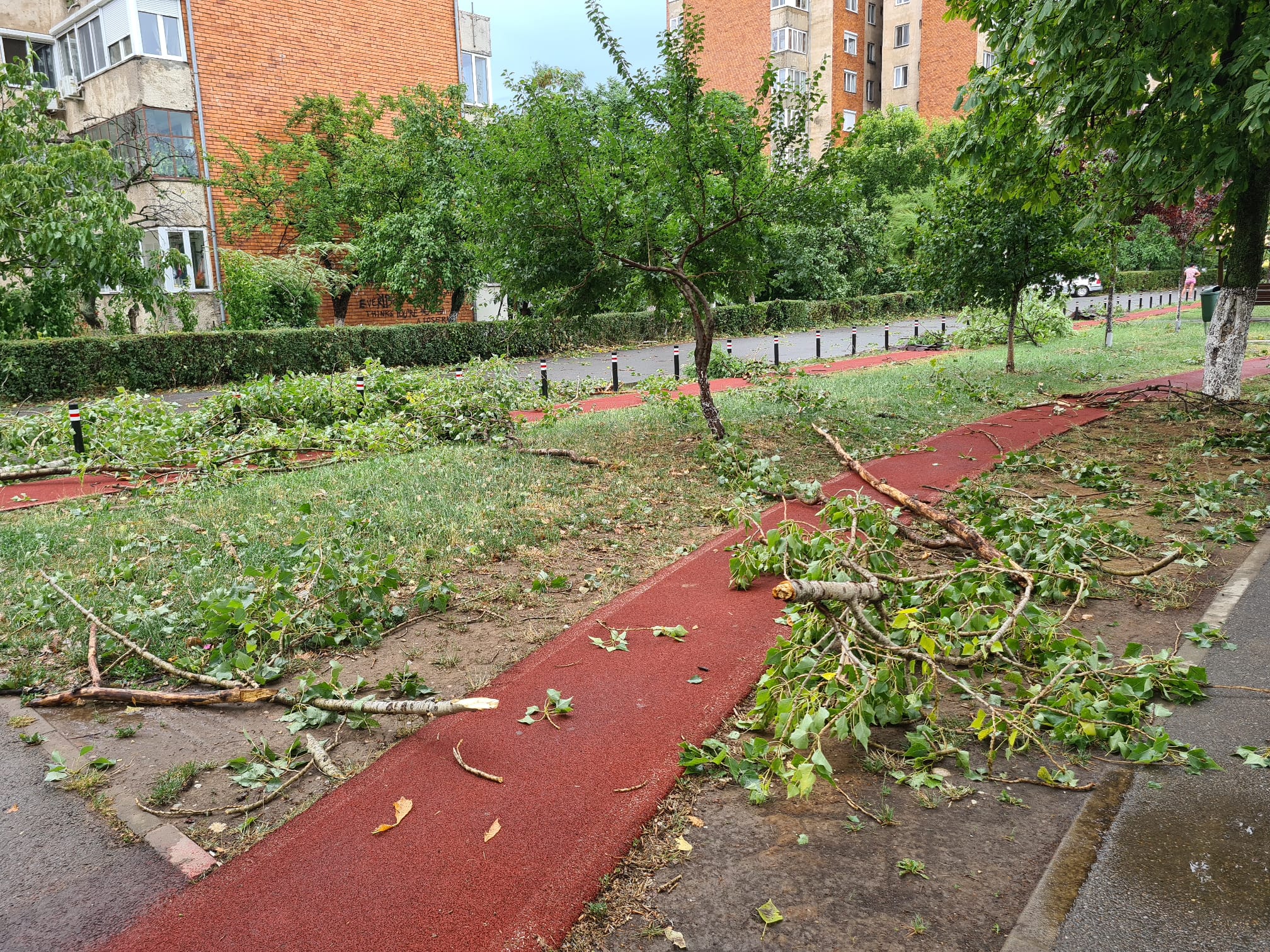 Foto | Primaria Oradea incepe de astazi curatarea trotuarelor, pistelor de biciclete si a parcurilor, dupa ce ieri a eliberat arterele de circulatie din oras. Cetatenii pot semnala problemele la numerele de telefon din articol