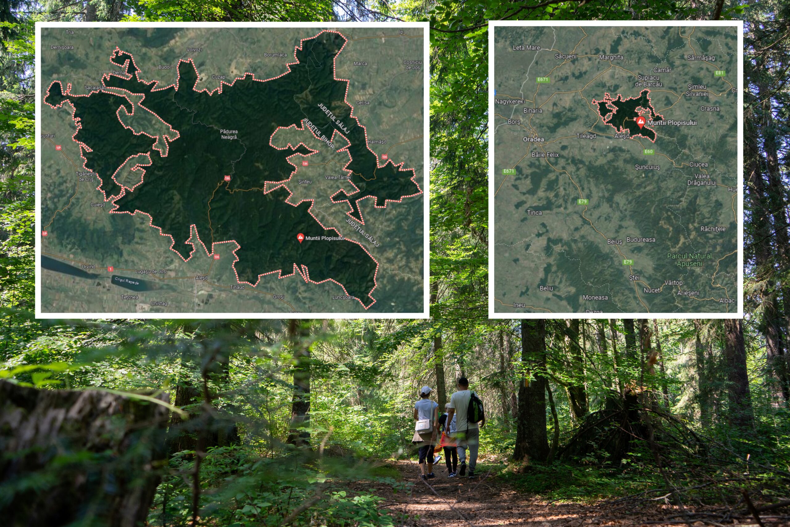 CJ Bihor a obtinut finantare europeana pentru conservarea biodiversitatii Muntelui Ses (Muntii Plopisului)