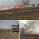 Inca o combina a luat foc si a distrus 10 hectare de grau in localitatea Bicaci din judetul Bihor.
