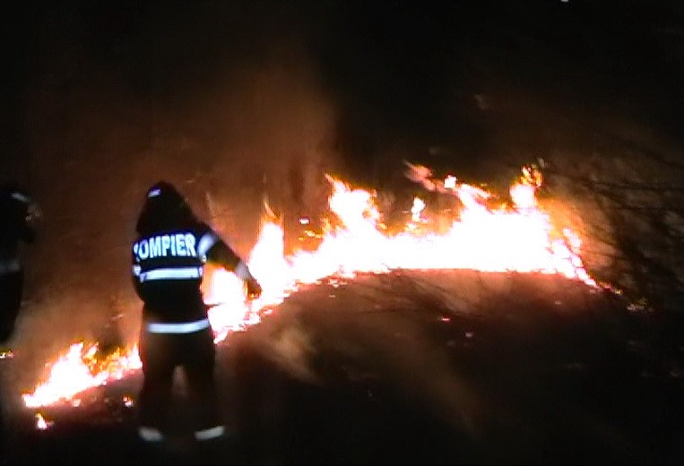 20 de hectare de miriste incendiate in localitatea Ianosda. Daca focul a fost pus intentionat, vinovatul risca o amenda de pana la 100.000 de lei