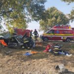 Doi barbati au murit in urma accidentului rutier de pe DN79, de la iesire din muncipiul Salonta