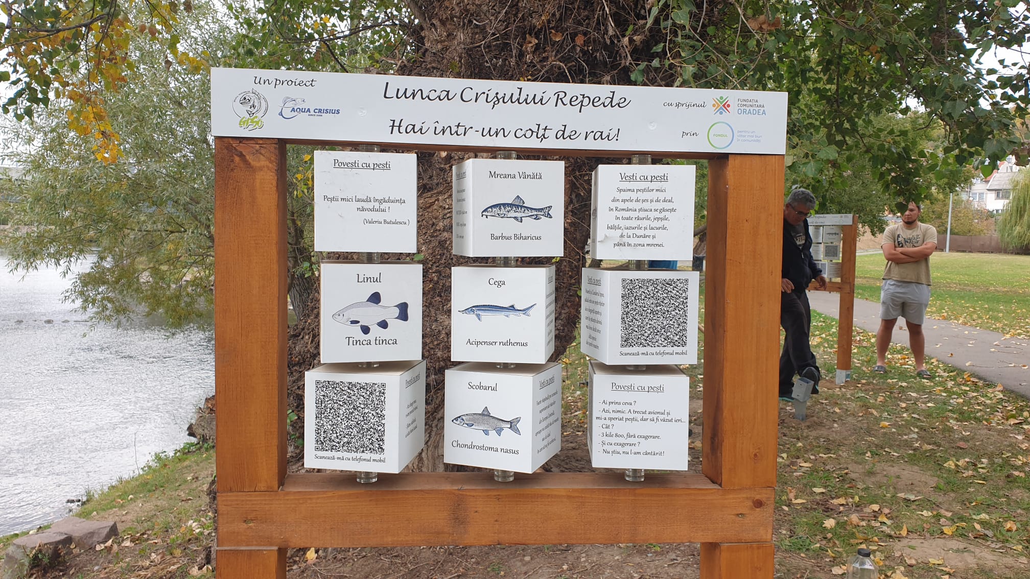 Proiect de conservare a mediului acvatic din municipiul Oradea. Au fost montate șase panouri informative despre specificul vieții acvatice a Crișului Repede