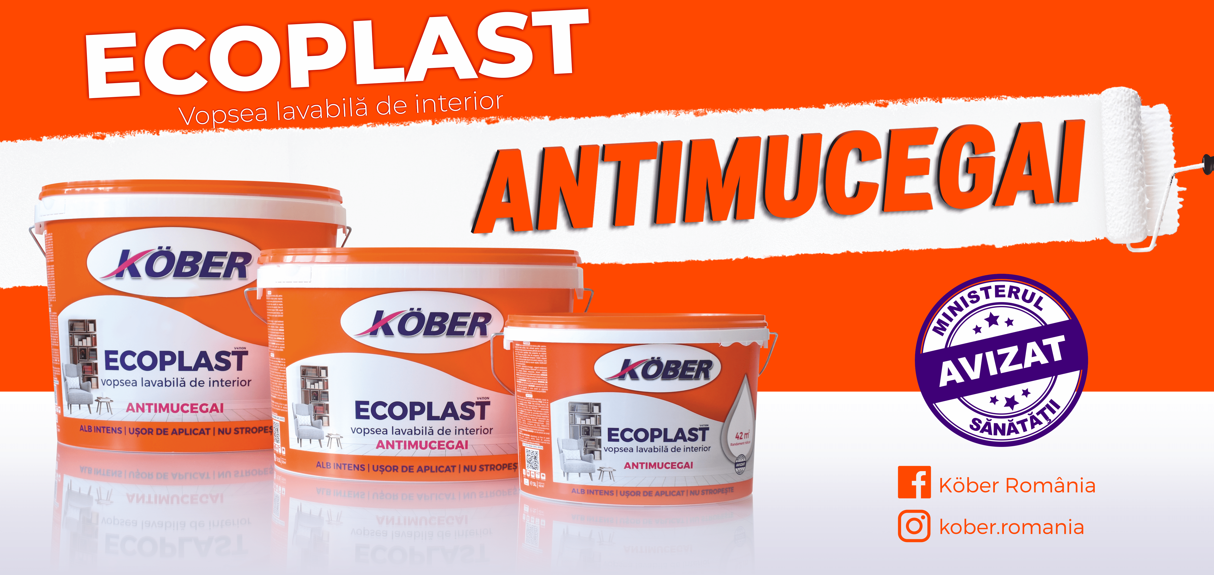 Ecoplast – alegerea inteligentă pentru interioare fără mucegai.