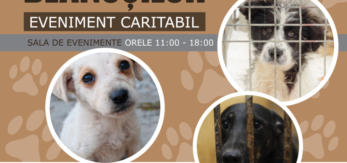 Târg caritabil pentru animalele fără stăpân, duminica, 4 februarie, la ERA Park Oradea!