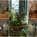Foto | Sunetul naturii la Casa Darvas-La Roche