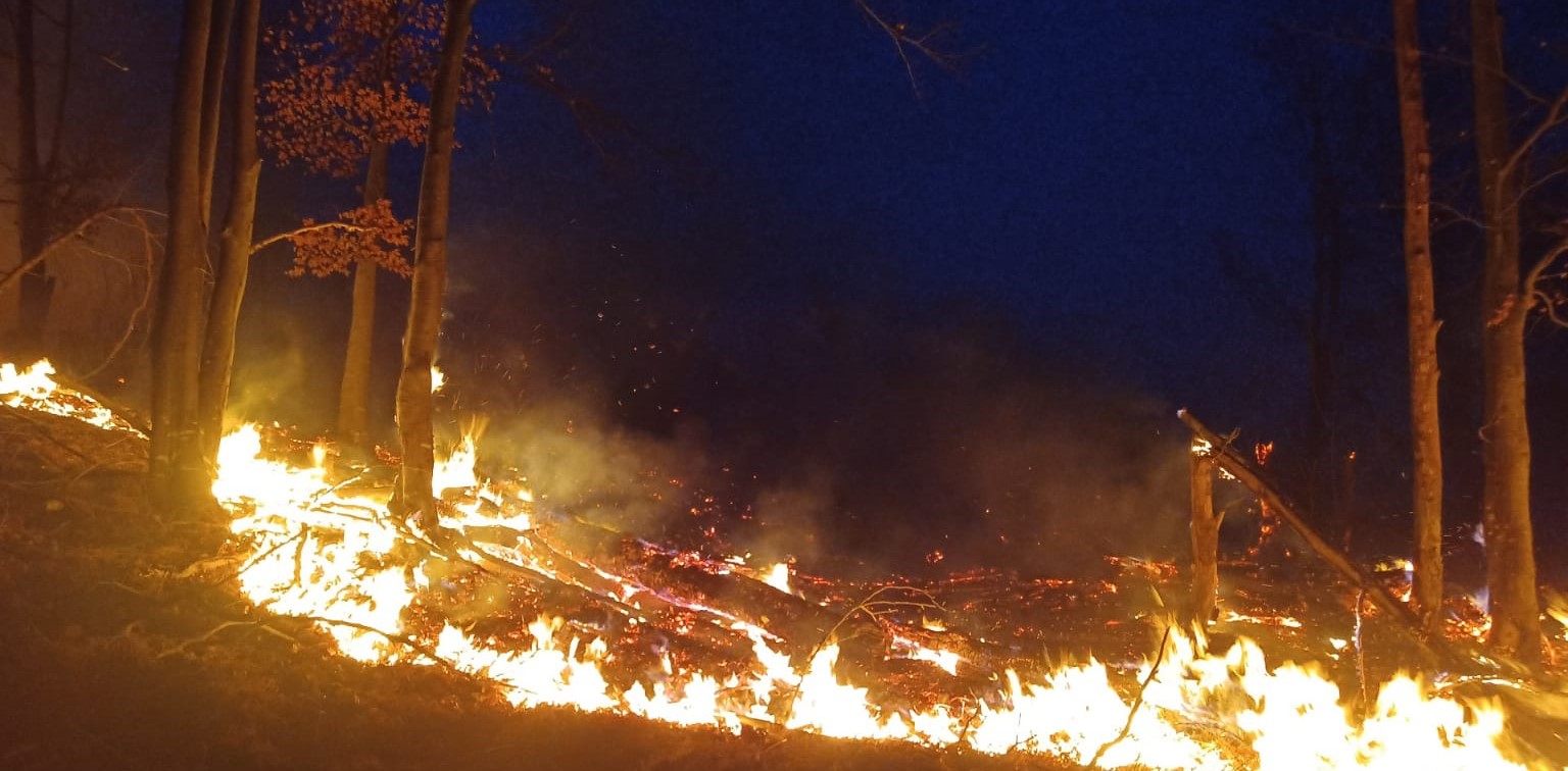 13 incendii in doar 24 de ore, in Bihor, provocate de oameni iresponsabili. Au ars zeci de hectare de pasuni, pajisti si litiere de paduri