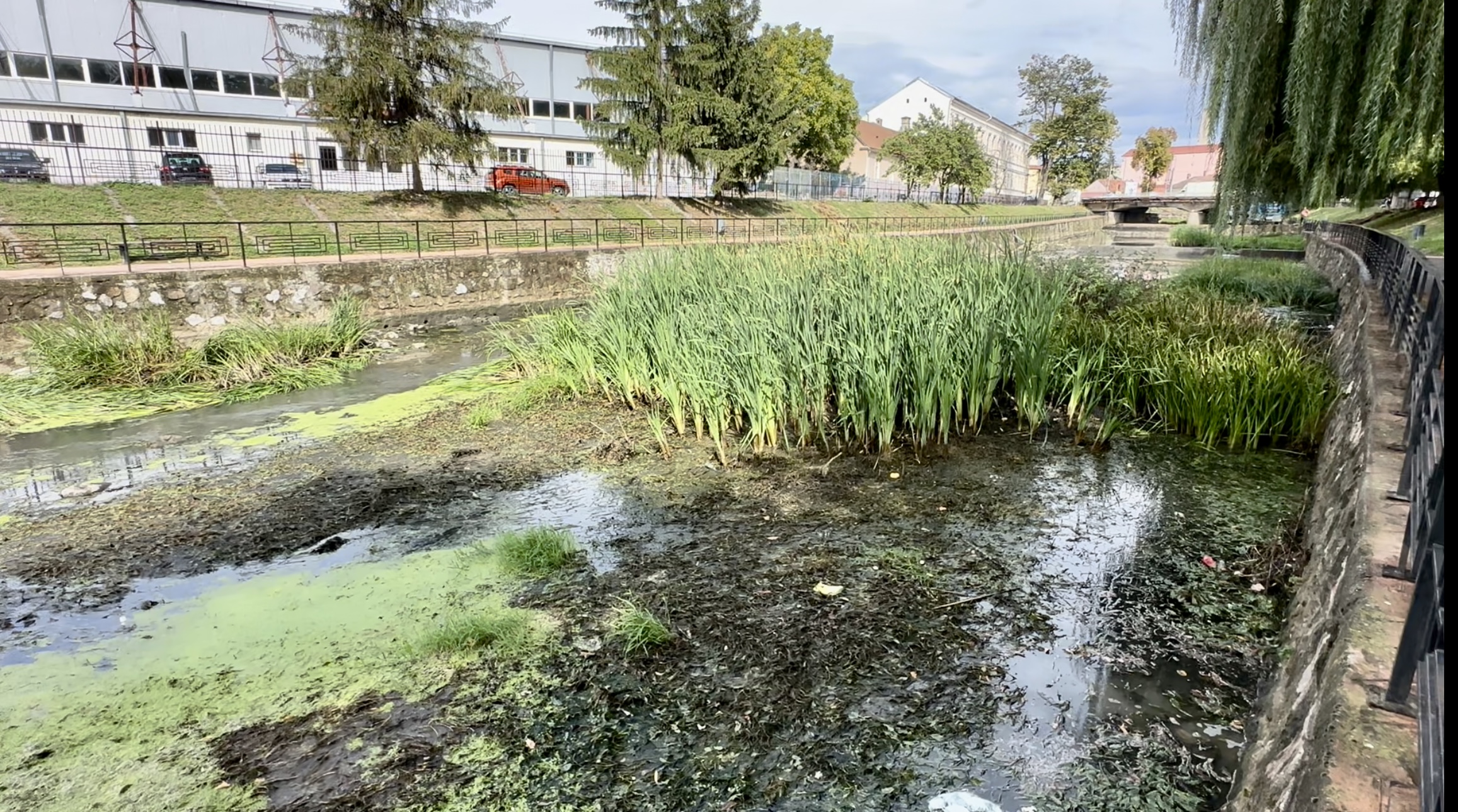 Administrația Bazinală de Apă Crișuri desfășoară lucrări de decolmatare pentru reducerea riscului de viituri în municipiul Beiuș.