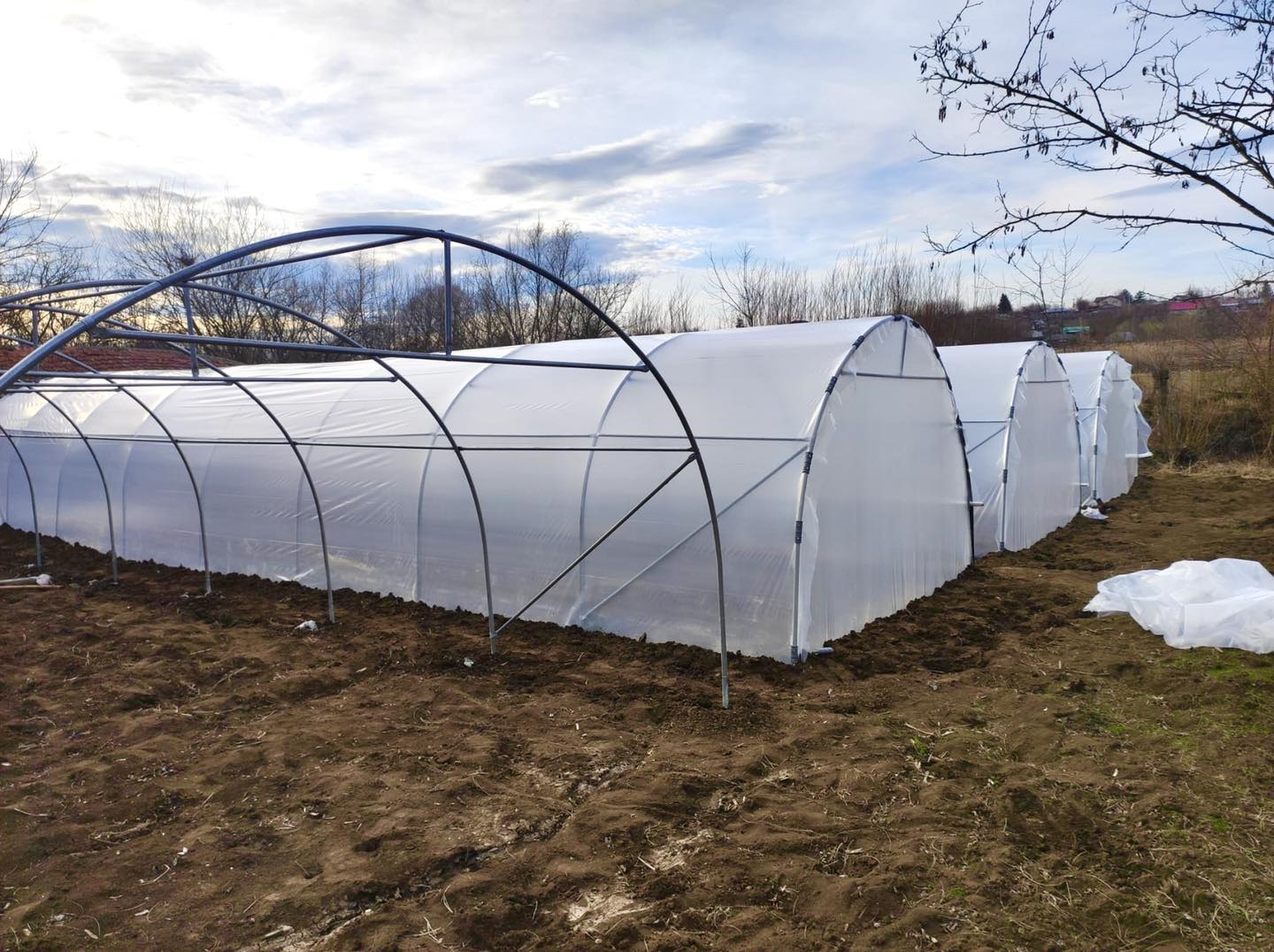 Solarul cu legume, tot mai des întâlnit în grădinile românilor!