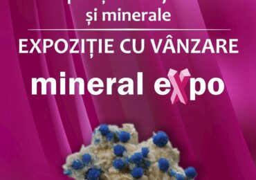 Minerale Expo aduce magia cristalelor la Oradea: Descoperă piatra inspirației și clarității mentale