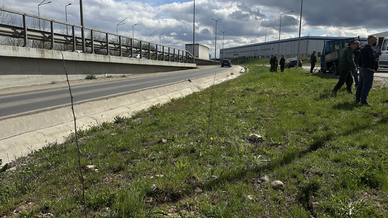 Primăria Oradea și Direcția Silvică Bihor plantează peste 2.000 de puieți pentru extinderea spațiilor verzi