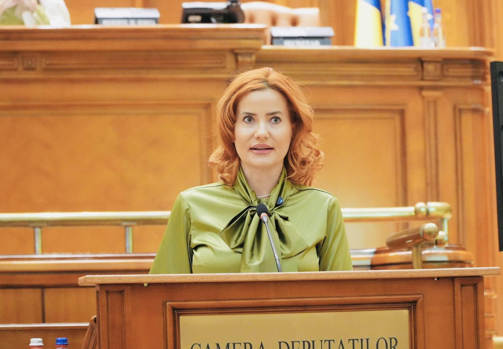 Arina Moș, deputat PNL: „Vara nu înseamnă vacanță pentru mine. Activitatea parlamentară continuă cu proiecte esențiale pentru cetățeni”