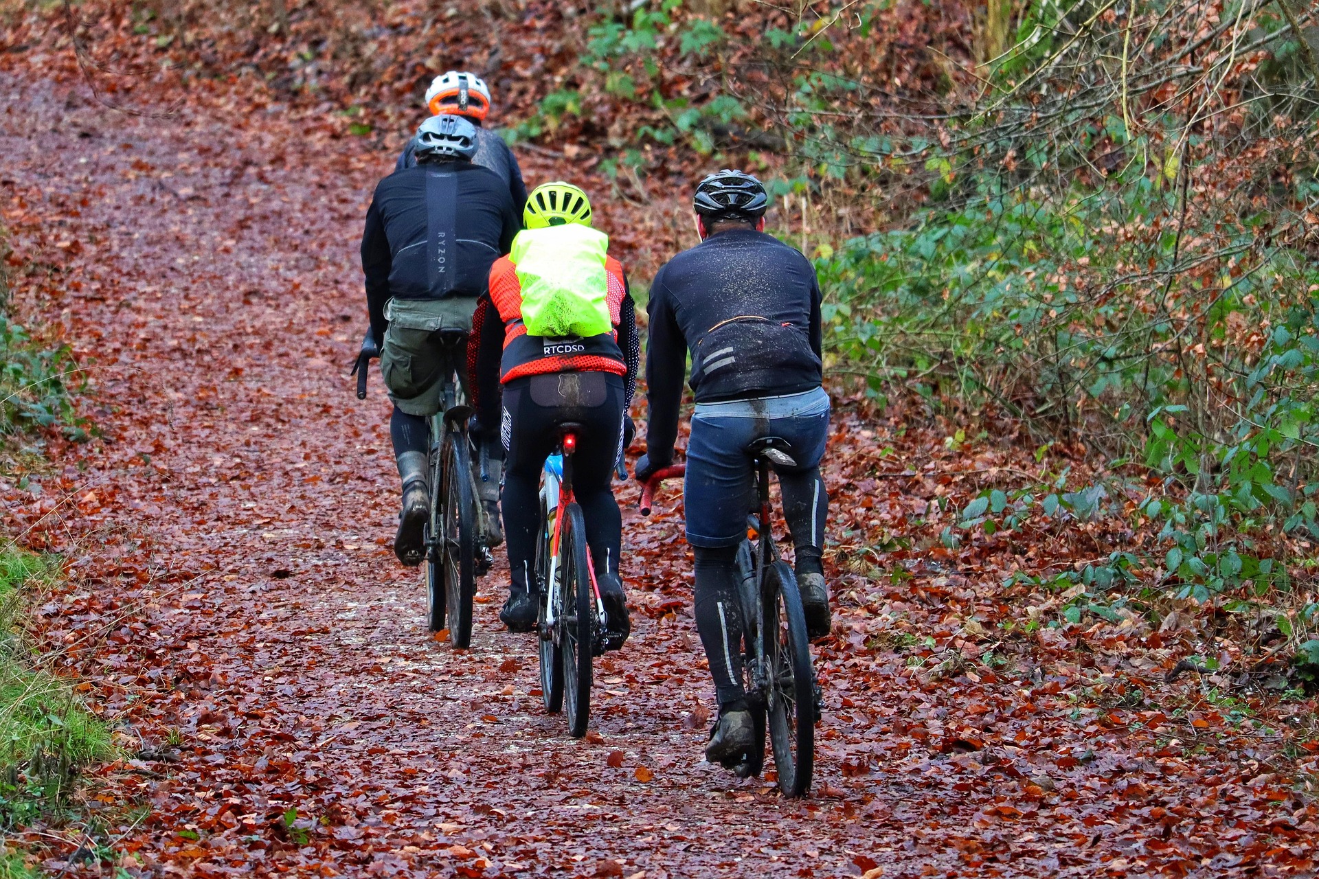 VELO APUSENI prinde contur: Traseu cicloturistic de peste 34 milioane lei între Băile Felix și Padiș