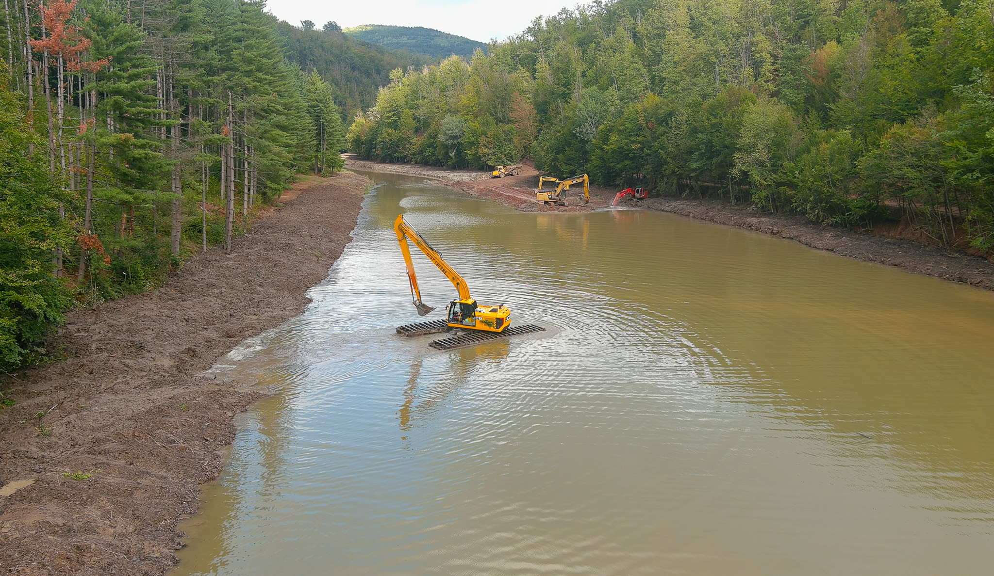 Reconstrucție ecologică la Lacul Vida: lucrările de decolmatare au început