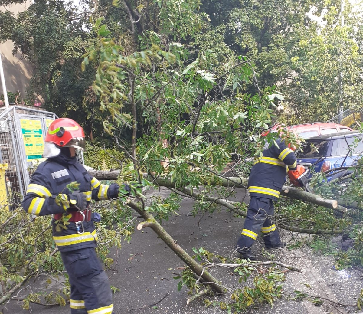 Furtuna a făcut ravagii în Bihor. Pompierii au intervenit în Oradea și pe mai multe drumuri naționale