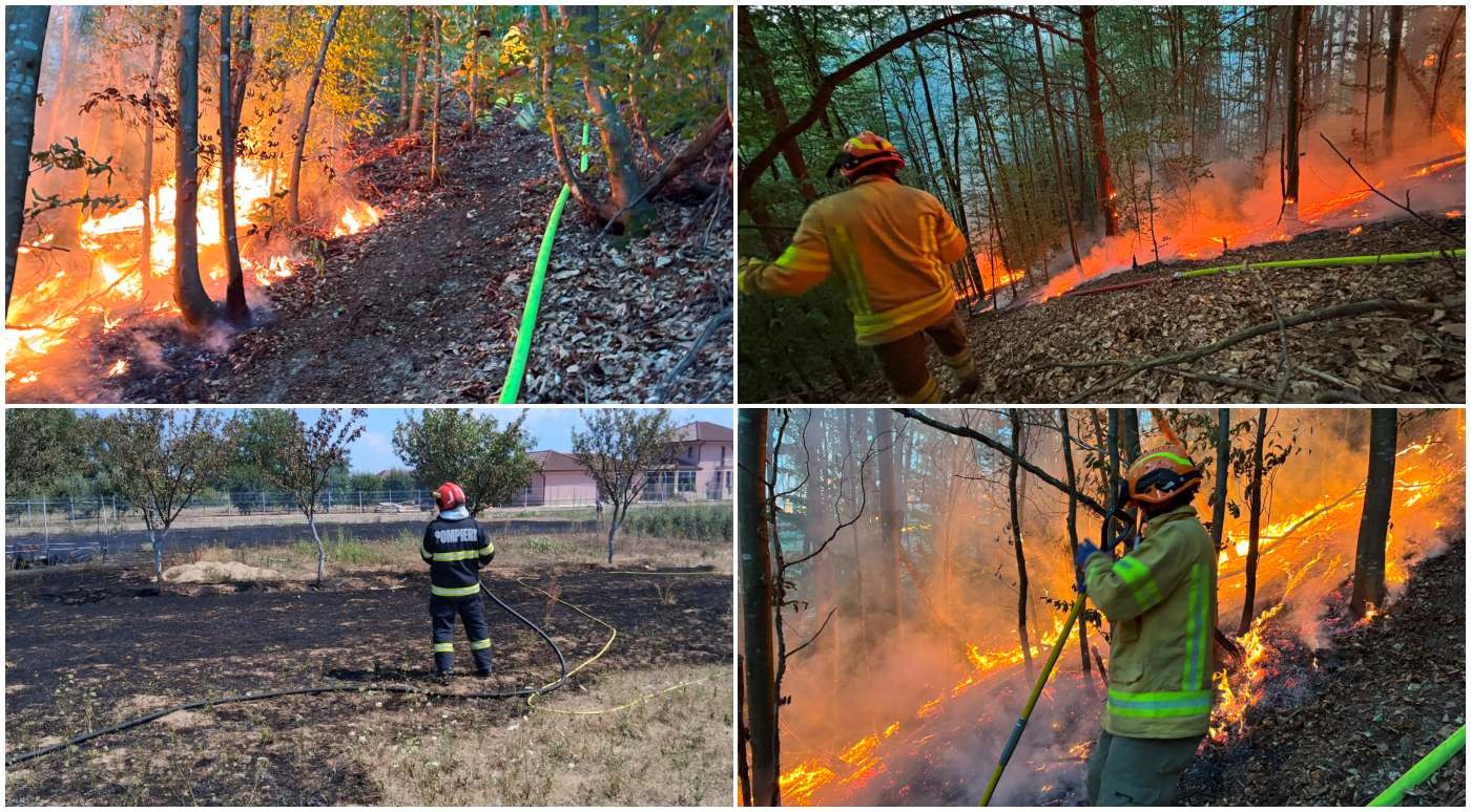 24 de incendii în Bihor. Aproape 94 de hectare afectate