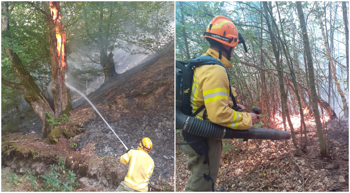 51 de intervenții ale pompierilor în Bihor: 12 incendii de vegetație într-o singură zi